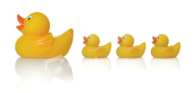 20090111135523-folowwing-mother-duck-ducklings.jpg